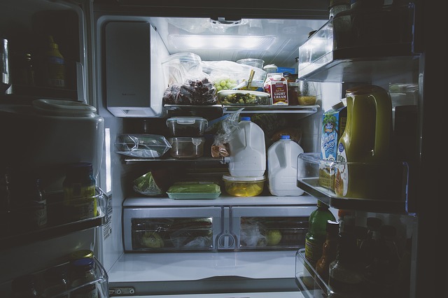 Is Your Refrigerator Running…On Freon?